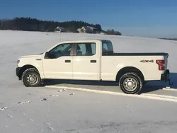 Weiß Gebraucht 2019 Ford F-150 XL Abholung | 37.000 €