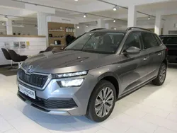 Graphitegrau metallic Neu 2024 Skoda Kamiq Tour SUV | 24.890 € (Guter Preis)