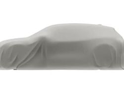 Grau Neu 2025 Ford Tourneo Custom Trend Van | 47.000 €