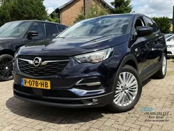 Blau Gebraucht 2019 Opel Grandland X Business SUV | 13.950 € (Etwas zu teuer)