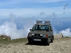 Grün Gebraucht 2000 Fiat Panda 4x4 Kleinwagen | 9.599 € (Fairer Preis)