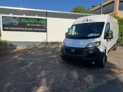 Weiß Gebraucht 2023 Fiat Ducato Van | 32.990 € (Fairer Preis)