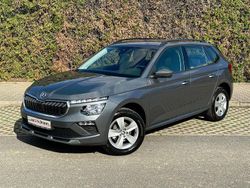 Grau Neu 2025 Skoda 105 Limousine | 23.490 €