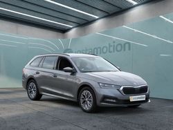 Grau Gebraucht 2023 Skoda Octavia Tour Kombi | 29.979 € (Etwas zu teuer)