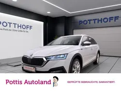 Weiss Gebraucht 2022 Skoda Octavia Kombi | 28.777 € (Guter Preis)