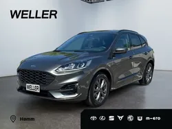 Grau Gebraucht 2024 Ford Kuga ST-Line SUV | 26.580 € (Superpreis)