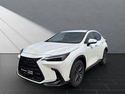 Titaniumweiß Neu 2025 Lexus NX350h Executive Line SUV | 50.950 € (Fairer Preis)