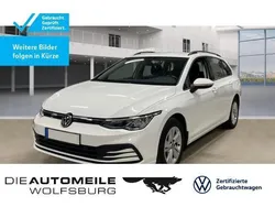 Pure white Gebraucht 2022 VW Golf VIII Life Kombi | 18.990 € (Guter Preis)