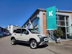 Beige Gebraucht 2023 Fiat Panda Kleinwagen | 21.900 €