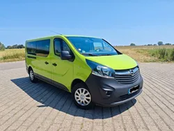 Grün Gebraucht 2019 Opel Vivaro Van | 24.000 €