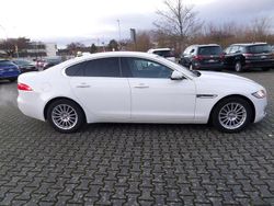Fuji white Gebraucht 2019 Jaguar XF Pure Limousine | 22.800 € (Teuer)