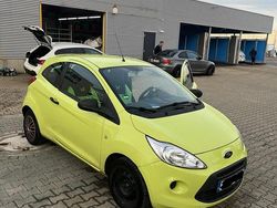 Grün Gebraucht 2012 Ford Ka Kleinwagen | 2.400 € (Fairer Preis)