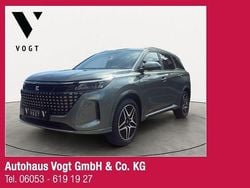 Grün Neu 2025 DFSK Fengon Limousine | 31.995 € (Etwas zu teuer)