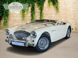 Old english white Gebraucht 1954 Austin Healey 100 Cabrio | 72.444 €