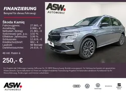 Grau Neu 2025 Skoda Kamiq Tour SUV | 27.865 € (Etwas zu teuer)