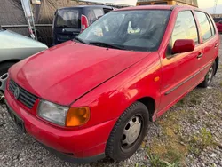 VW Polo
