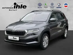 Grau Gebraucht 2024 Skoda Karoq Selection SUV | 36.980 € (Teuer)