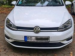 Weiß Gebraucht 2019 VW Golf VII Kombi | 15.998 € (Guter Preis)