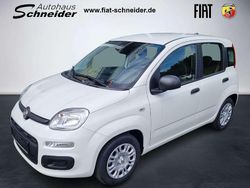 Gelato weiß Neu 2025 Fiat Panda Kleinwagen | 16.290 € (Etwas zu teuer)