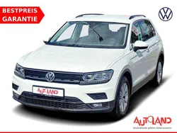 Weiß Gebraucht 2019 VW Tiguan Comfortline SUV | 23.950 € (Etwas zu teuer)