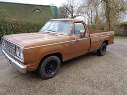 Braun Gebraucht 1977 Dodge D200 Abholung | 16.900 €