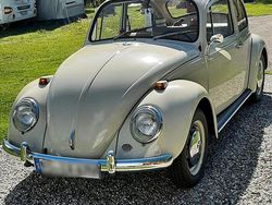 Beige Gebraucht 1967 VW Käfer Limousine | 17.500 €