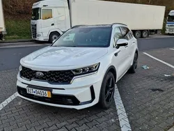 Weiß Gebraucht 2020 Kia Sorento Platinum SUV | 33.333 € (Fairer Preis)