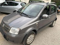 Grau Gebraucht 2011 Fiat Panda 4x4 Kleinwagen | 3.690 € (Etwas zu teuer)