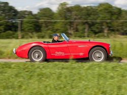 Rot Gebraucht 1955 Austin Healey 100 Cabrio | 54.000 €