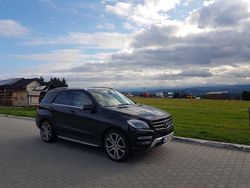 Schwarz Gebraucht 2014 Mercedes ML350 SUV | 20.250 € (Fairer Preis)