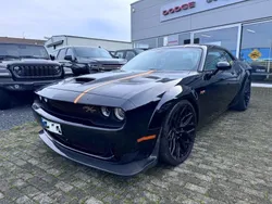 Destroyer grey Gebraucht 2024 Dodge Challenger Coupé | 79.900 €