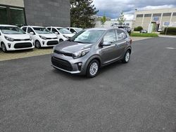 Grau Gebraucht 2024 Kia Picanto Vision Kleinwagen | 14.750 € (Fairer Preis)