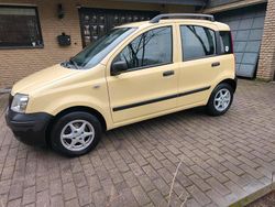 Gelb Gebraucht 2009 Fiat Panda Active Kleinwagen | 2.950 € (Fairer Preis)