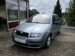 Grau Gebraucht 2005 Skoda Fabia Classic Kleinwagen | 3.350 € (Teuer)