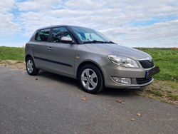 Beige Gebraucht 2013 Skoda Fabia Fresh Kleinwagen | 4.399 € (Fairer Preis)