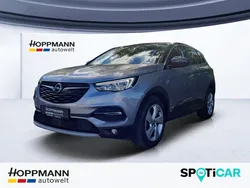 Grau Gebraucht 2020 Opel Grandland X SUV | 21.990 € (Etwas zu teuer)