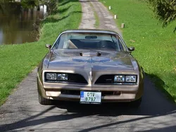 Gold Gebraucht 1977 Pontiac Trans Am | 38.000 €