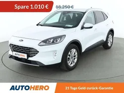 Frozen white Gebraucht 2020 Ford Kuga Titanium SUV | 17.240 € (Guter Preis)