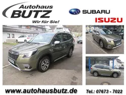 Grün Neu 2024 Subaru Forester Active SUV | 38.900 € (Fairer Preis)
