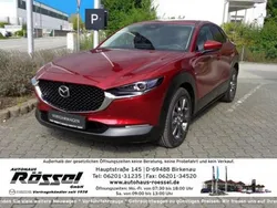 Rot Gebraucht 2024 Mazda CX-30 Exclusive-Line SUV | 32.490 € (Etwas zu teuer)
