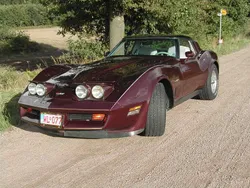 Andere außenfarben Gebraucht 1982 Corvette C3 | 13.000 €