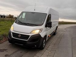 Weiß Gebraucht 2019 Fiat Ducato Van | 16.500 € (Etwas zu teuer)