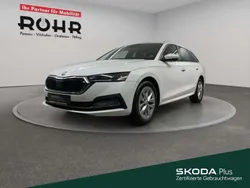 Candy weiss Gebraucht 2023 Skoda Octavia Style Kombi | 24.359 € (Fairer Preis)