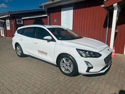 Weiß Gebraucht 2020 Ford Focus Active Kombi | 12.000 € (Superpreis)