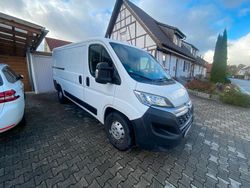 Weiß Gebraucht 2019 Citroën Jumper Van / Kleinbus | 8.499 €