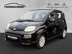 Schwarz Gebraucht 2023 Fiat Panda Limousine | 11.470 € (Fairer Preis)