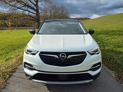 Weiß Gebraucht 2019 Opel Grandland X SUV | 14.500 € (Etwas zu teuer)