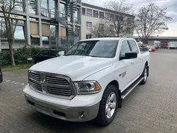 Weiß Gebraucht 2019 Dodge Ram Abholung | 34.990 € (Superpreis)