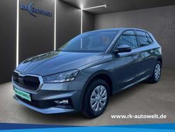 Grau Neu 2025 Skoda Fabia Selection Kleinwagen | 21.480 € (Fairer Preis)