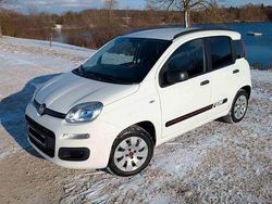 Weiß Gebraucht 2014 Fiat Panda Kleinwagen | 5.500 € (Fairer Preis)